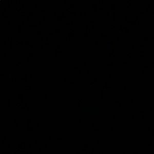 Meet your Posher, Will